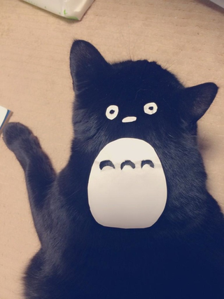 Illustration for article titled An Easy Way To Turn Your Cat into Totoro